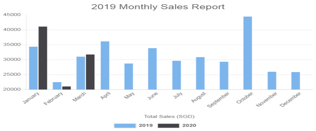 2019 Monthly Sales Report